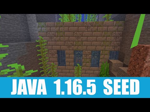 Minecraft Java 1.16.5 Seed: Savanna village at spawn + exposed end portal in the ocean nearby