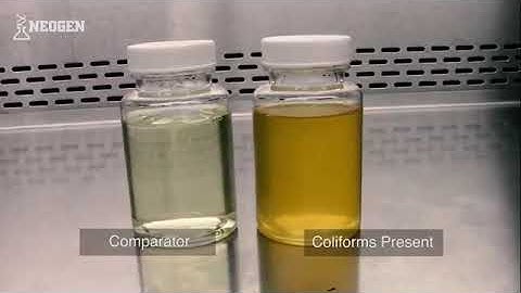 Colitag Demonstration video