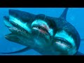 🦈 ​10 Tiburones ATERRADORES Escondidos en el Océano