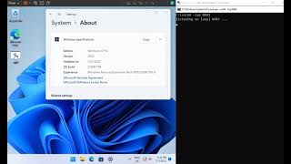 Undetectable connect-back shell for Windows 11 Pro Build 22000.795 (July 12, 2022âKB5015814)