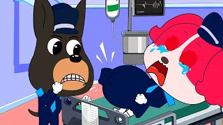 OMG!! Sheriff Papillon is Pregnant But What Happened?! | Sad Story | Labrador Police Animation by Night Ninja (Pj Masks) 15,848 views 2 weeks ago 1 hour, 7 minutes