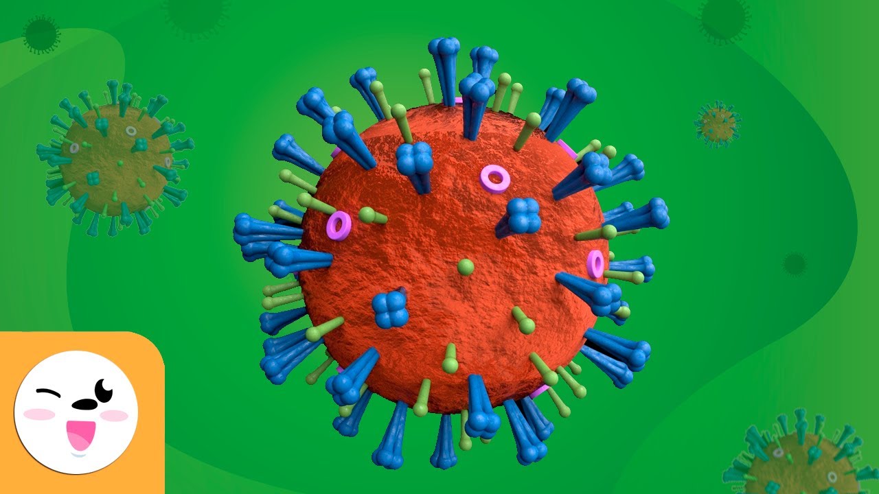¿Qué Son Los Virus? - Ciencias Para Niños - Partes De Los Virus