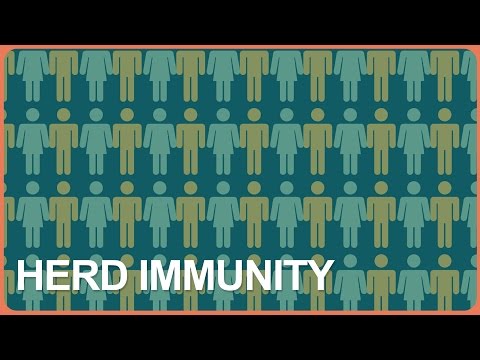 Vaccines and Herd Immunity