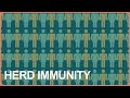 Vaccines and Herd Immunity