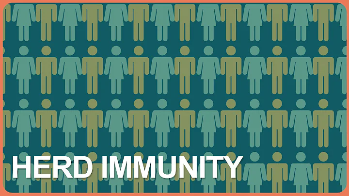 Vaccines and Herd Immunity