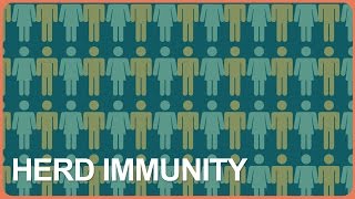 Vaccines and Herd Immunity