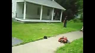 Grass Gap Montage