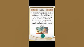 سورة الشورى - سورة 42 عدد آياتها 53#قرآن_كريم