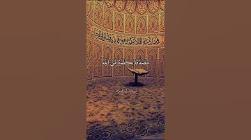 هُنَالِكَ دَعَا زَكَرِيَّا رَبَّهُ ۖ قَالَ رَبِّ هَبْ لِي || سورة آل عمران || علي جابر