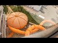 Strange ufo water slide at binkowski resort kielce
