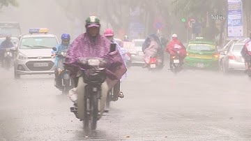 Bắc Bộ và Bắc Trung Bộ có mưa vừa, mưa to, đề phòng tố, lốc và gió giật mạnh