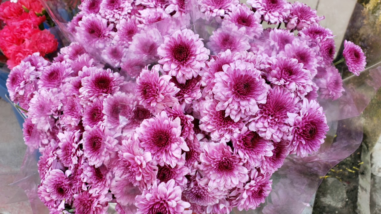 Ministerio De Alabanza La Luz Del Mundo Vol 6  ■Album Completo■