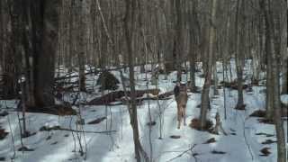 Trail Camera Wildlife Mysteries by nwwmark 1,808,545 views 11 years ago 6 minutes