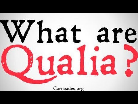 Бейне: Психологиядағы Qualia дегеніміз не?