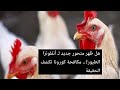 هل ظهر متحور جديد لانفلونزا الطيور مكافحة كورونا تكشف الحقيقة 