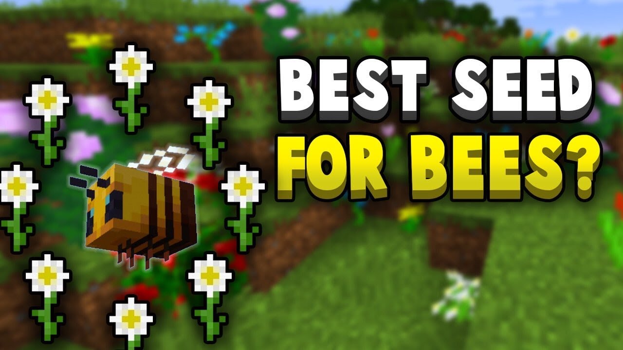 Where & How To Find Bees In Survival Minecraft / PE - YouTube