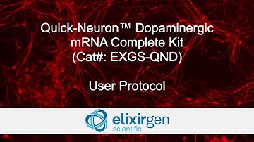 Protocol for Quick-Neuron Dopaminergic - mRNA Complete Kit