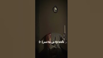 سوره طه بصوت الشيخ محمد ايوب #قرآن