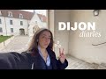 Dijon diaries  tre une tudiante en alternance