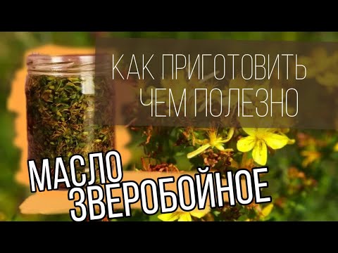 Зверобойное масло. Как приготовить и как применять. Hyperic oil. How to cook and how to apply.