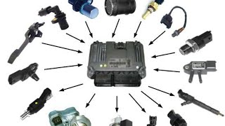 TOP 5 SENSOR IN A CAR ECU KA 5 IMPOTENT SENSOR.how to do working sensor.ecm wairing sensor