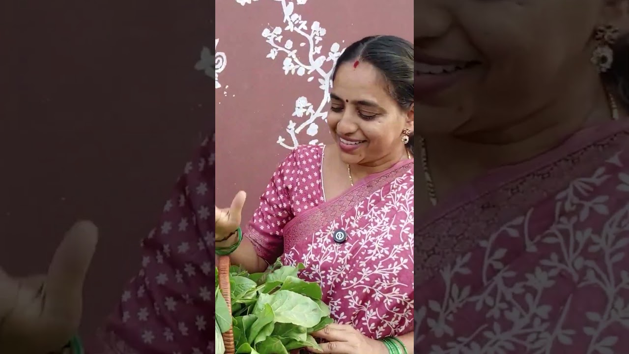 Harvest || TELUGU GARDEN VLOG