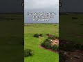 Fazenda dupla aptidão no Sul do Tocantins ( Vale do Araguaia) #agro #fazendasavenda
