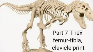 Anet A8 3D printer T-rex part 7