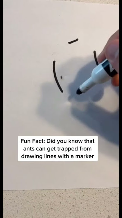 Trapping Ants With A Marker 🤯🐜 #Shorts