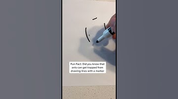 Trapping Ants With A Marker 🤯🐜 #Shorts