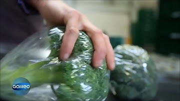 VePack 200PH BrimaPack