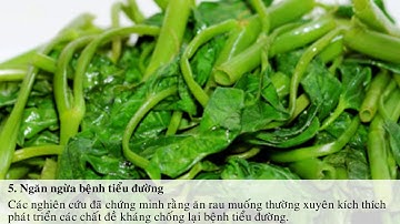 Rau Muống - Khám phá 10 tác dụng không ngờ của rau muống