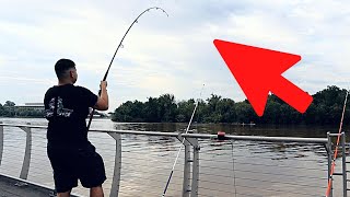 FLOOD FISHING | SCREAMING BITES and  CATFISH! (Potomac River)