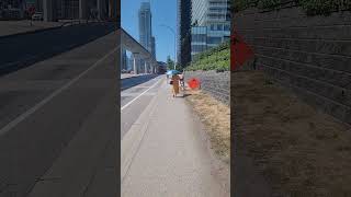 sunny with no chance of rain #subscribe #comedy #summer