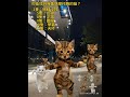 【找貓】你是天才嗎？背景拍攝地點：台北大巨蛋。