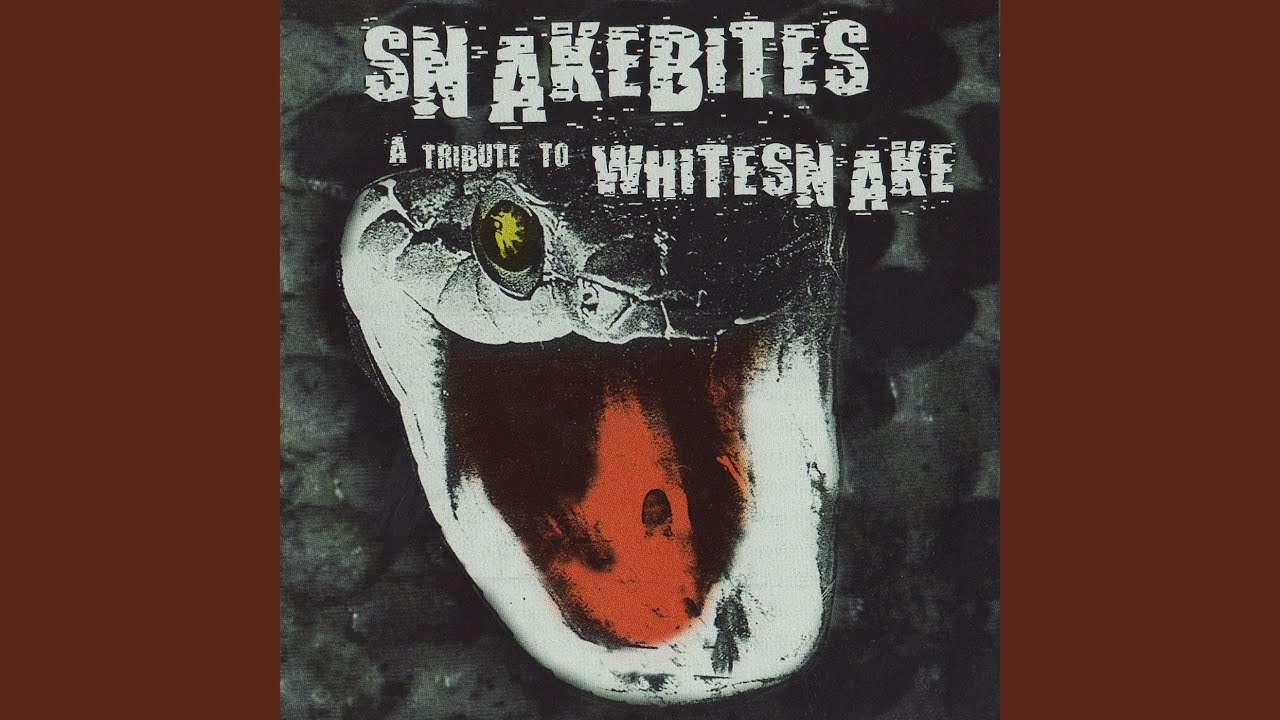 Ain't No Love in the Heart of the City