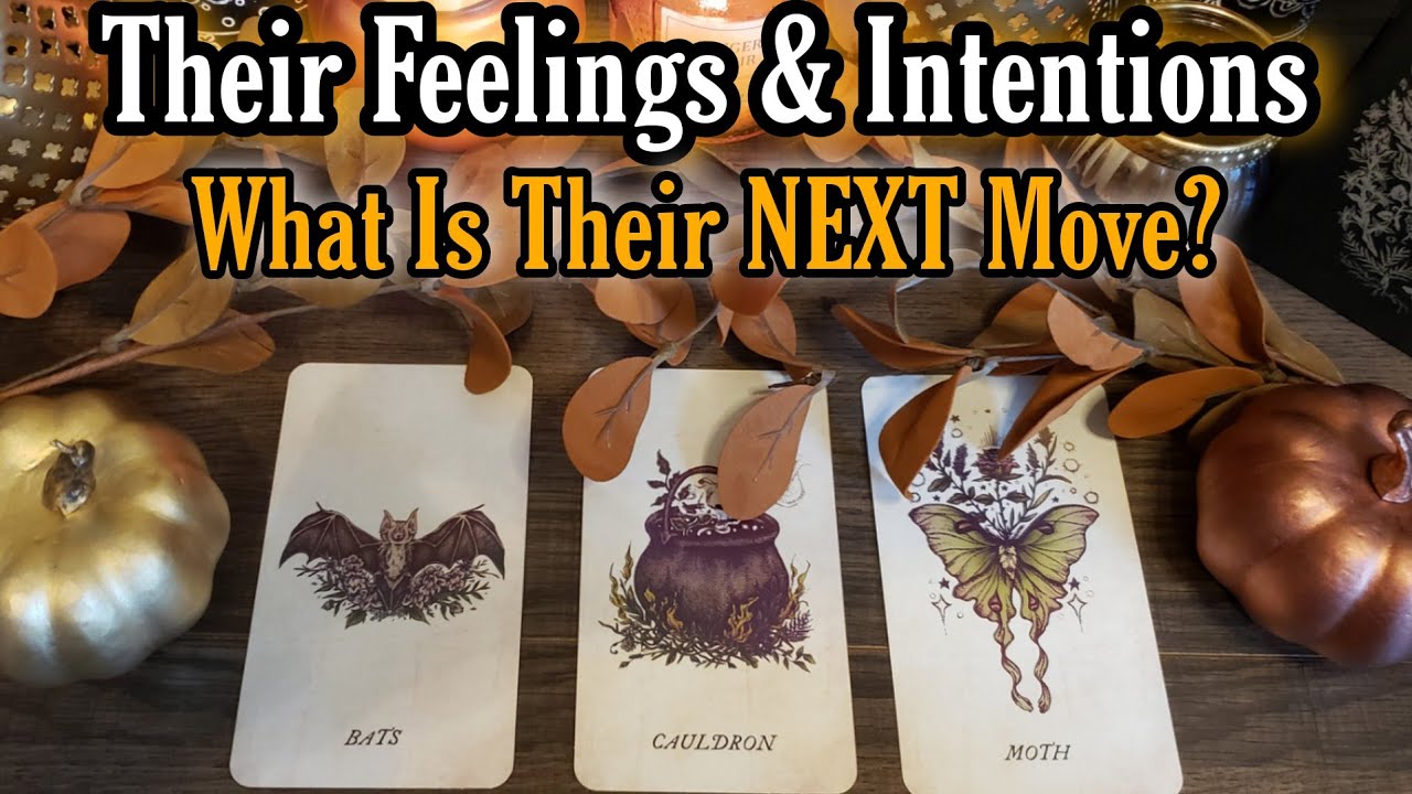 Their Feelings & Intentions | Their NEXT Move 🥀 Pick A Card | Your Connection The Next 2-4 Weeks!