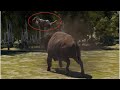 Bison DESTROYED all carnivorous - Animation