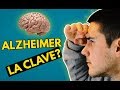 ¿Es esta la clave en la Enfermedad de Alzheimer?