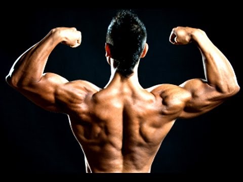 The Best Home Bicep Workout ( No Equipment Needed ) - YouTube