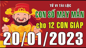 CON SỐ MAY MẮN HÀNG NGÀY (20-01-2023) CỦA 12 CON GIÁP: Số Tài lộc, Giàu có & Thịnh Vượng