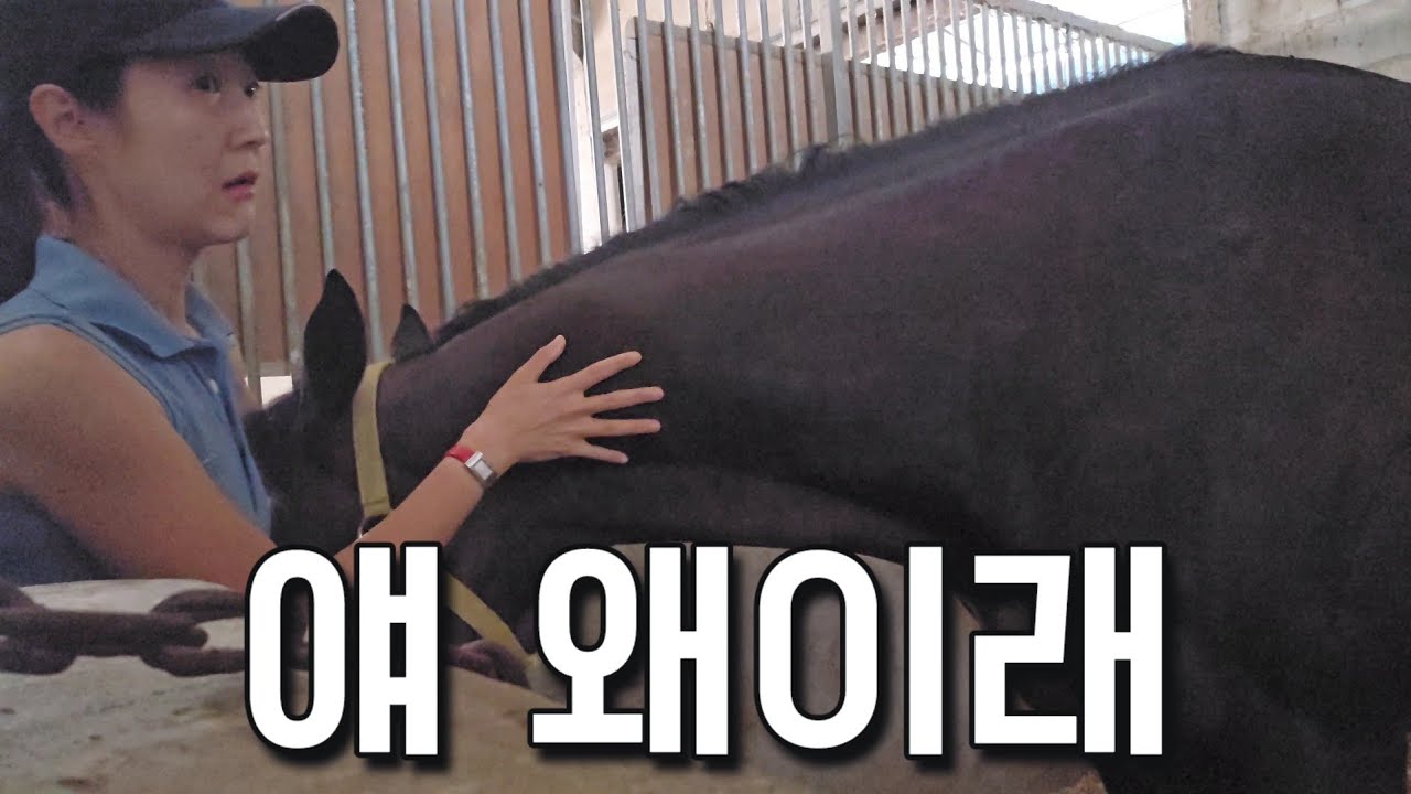 순간 말이 바뀐 줄 알고 이름표까지 다시 본 사연