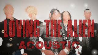 Velvet Revolver - Loving The Alien (Acoustic Version)