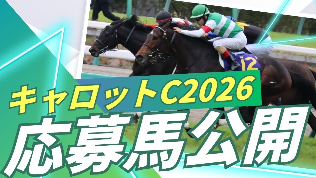 Total Investment of 800,000 Yen] Introducing the 7 Horses I