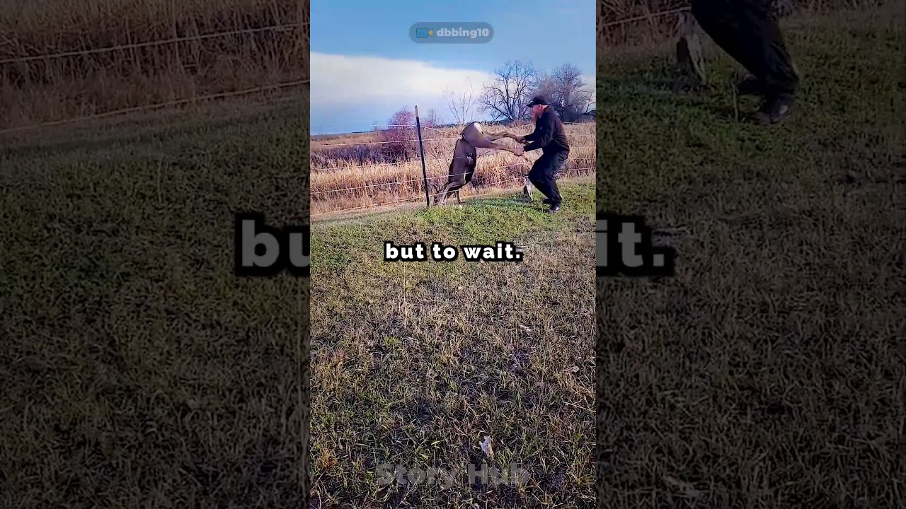 This Deer Was Stuck for Hours! 