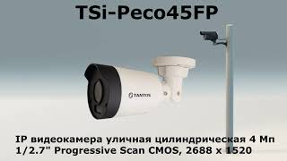 TSi Peco45FP IP    4 
