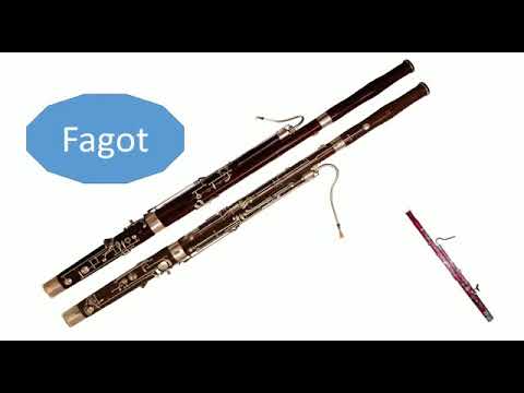 Vídeo: Quins Instruments Musicals S’inclouen A L’orquestra Simfònica