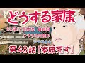 NHK大河ドラマ どうする家康 第48話「家康死す」最終回 ドラマ展開・先読み解説 シナリオA この記事はドラマの行方を一部予測してお届けします 2023年12月17日放送予定