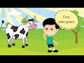 Animals and the food they eat  kindergarten science lesson