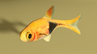 Fish Animation in an Aquarium - 3ds Max